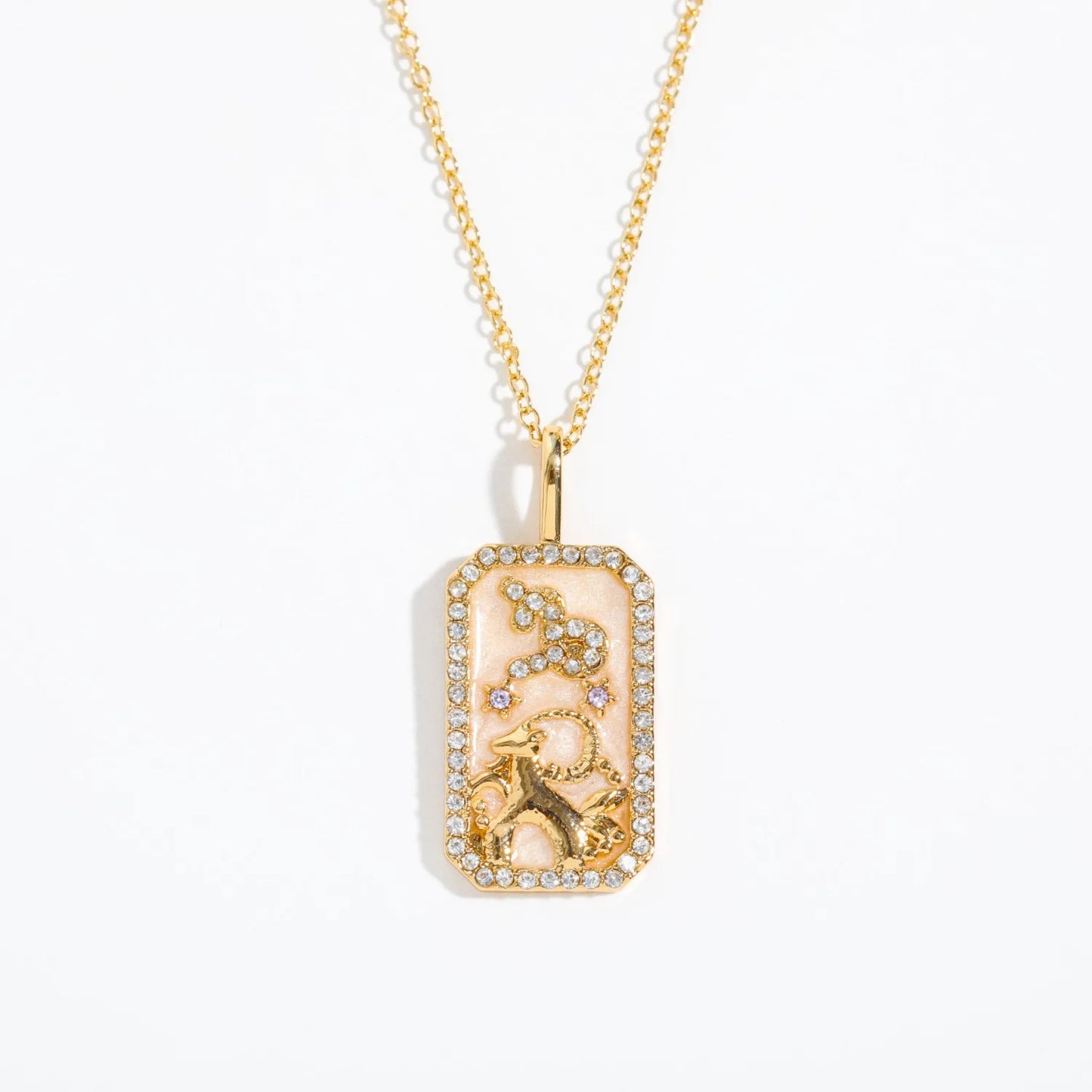 Heavy Pendant Zodiac Sign Necklace